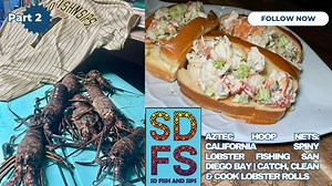 Aztec Hoop Nets: Lobster Fishing & Lobster Rolls in San Diego Bay Part 2