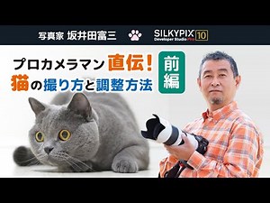 Direct from a professional photographer! How to photograph cats and how to adjust the settings [P...