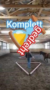 ⌛Dreiecke gedreht #horse #training #tips