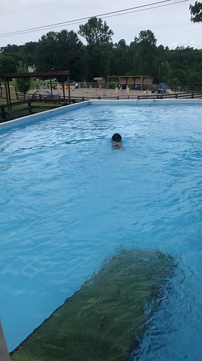 In my happy place 🐾🧡 #goodgirlemily | Emily Ever After