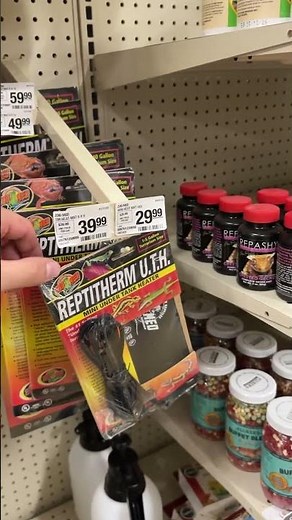 Leopard gecko petsmart guide