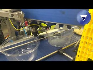 Orso Dosing Equipment | Multi-Fill