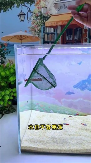 Worried about fish food floating all over the tank? #aquascapelowtech #aquascapegallery