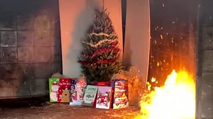 2K views · 24 reactions | SOUND ON Did you know MS has had 92 Fire-Related deaths statewide? Instructor Chief Shannon Sandridge has some tips on Christmas tree safety. We want y’all to have a Safe & Merry Christmas!!! #MSFA #Christmas #livetree #tips | MS State Fire Academy | Facebook