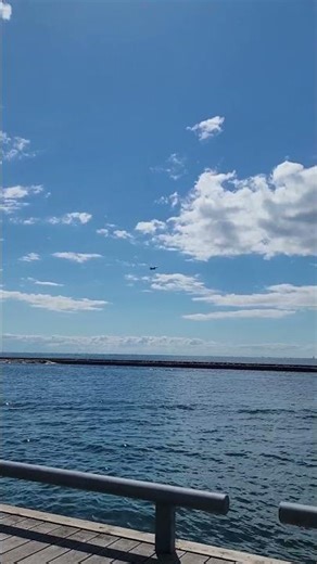 Canadian CF-18 Hornet Fighter Jet #f18 #rcaf #cias2025