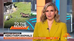 122K views · 1.2K reactions | It's a bit hard to write a caption that explains what is going on in this video, so just watch  | Sunrise | Facebook