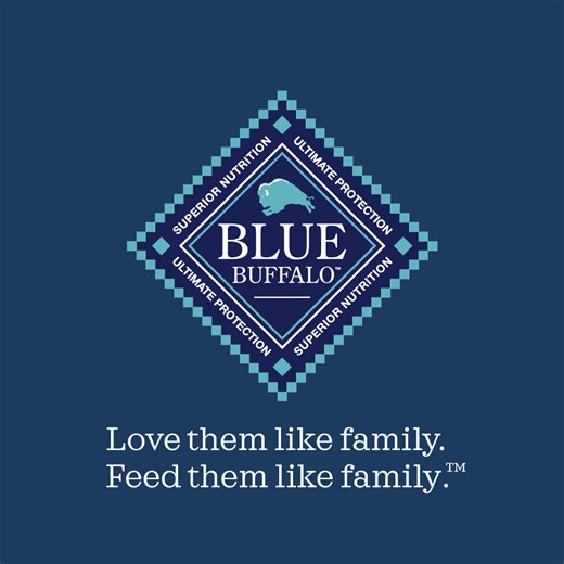 Find a recipe with the superior ingredients your cat deserves from BLUE. | Blue Buffalo