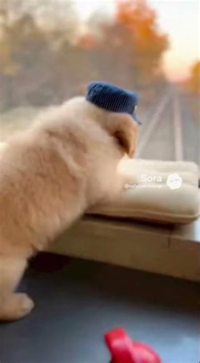 Ep.2 “Buddy Goes Full-Time Rampage.mp4