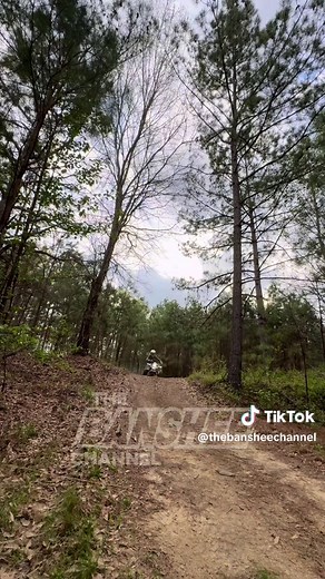 Day 85, 2004 Yamaha Blaster 200 | yamaha blaster