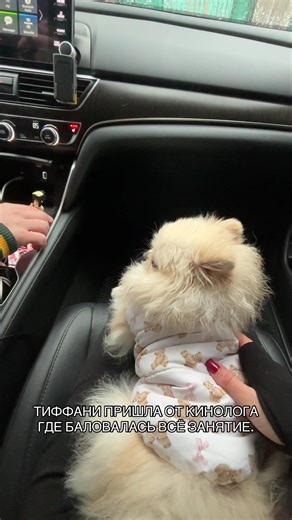 Відео користувача Kseniа АБО Надя 2 👀 (@ksenia_sytenko) з композицією «оригинальный звук - Kseniа АБО Надя 2 👀»