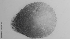 This is a universal finger print - it changes and will soon match any fingerprint. Place it on any device that uses Touch ID and you are IN!!!! -  an all natural AbstractVideoClip