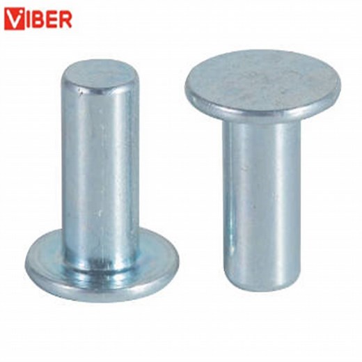 [Hot Item] Round Flat Head Solid Rivets Stainless Steel 304 Knock Flat Head Rivet for Auto Fastener