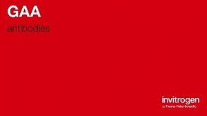GAA antibodies from Thermo Fisher Scientific