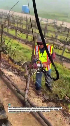 Hydraulic Vineyard Pruner Beast in Action! 🍇✂️ #FarmTech #VineyardLife #AgriTools