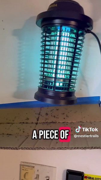 Effective Bug Zapper Solutions for Mosquito Season