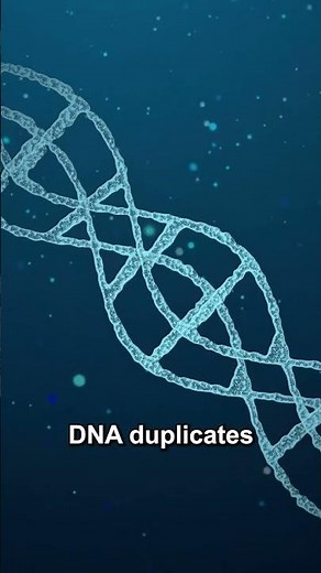 Functions of DNA | Autocatalysis, Heterocatalysis & DNA Packaging | #Shorts | Power Learn College