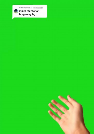 Membalas @azkha_idz59done ya bang.. #greenscreen #fyp #foryou #raysukaloli😋