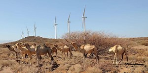 Beautiful sights from the Lake Turkana Wind Power wind farm site! | Lake Turkana Wind Power