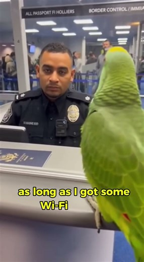 This Parrot Cleared airport security