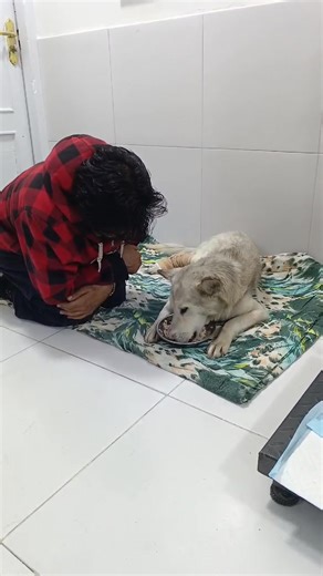 22K views · 2.2K reactions | Thank you for hearing us and for besting...