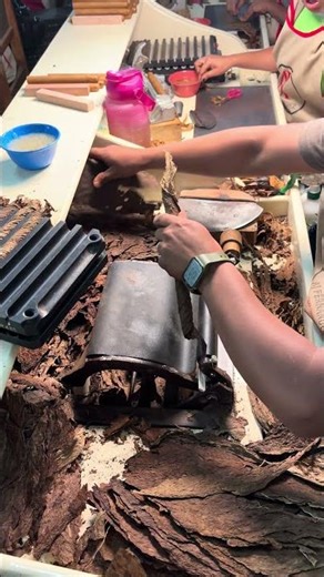 Cigar bunching - AJ Fernandez, Esteli, Nicaragua