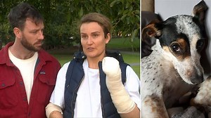 Lugarno dog attack victim opens up on terrifying ordeal