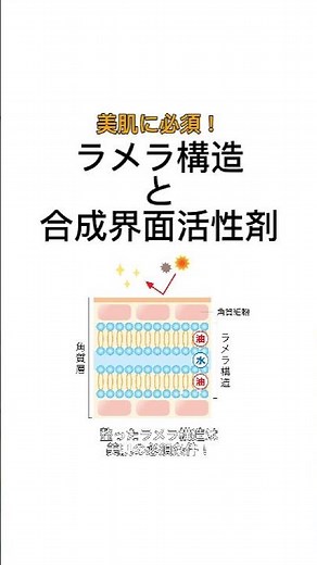 美肌に必須！ラメラ構造と合成界面活性剤🧴