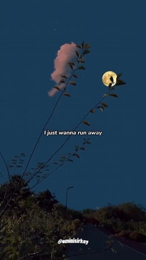 NF feat Mikayla Sippel - Chasing (lyrics) #nfchasing #mikaylasippel #nfrealmusictillthedaywedie #nfrealmusicedits #nfrealmusicfans #nfrealmusic