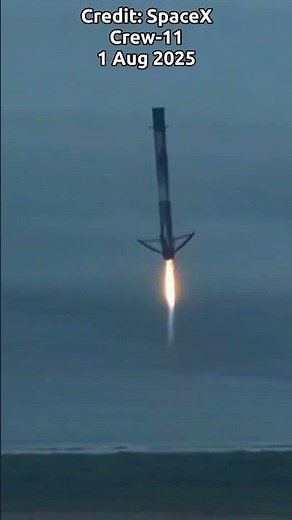 SpaceX Crew-11 | Falcon 9 Booster Landing at LZ‑1