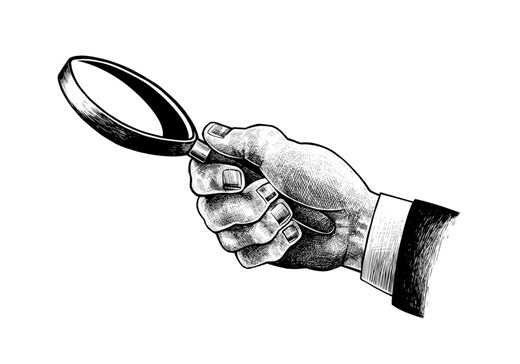 The Future of Watchdog Journalism | FlaglerLive