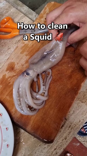 How to Clean a Squid: Step-by-Step Guide