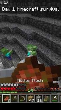 Minecraft Day 1 in 60 Seconds