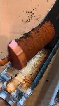 Do I REALLY need to replace my reverse osmosis filters every 6 months? WHAROS5 WHEERF WHEERM
