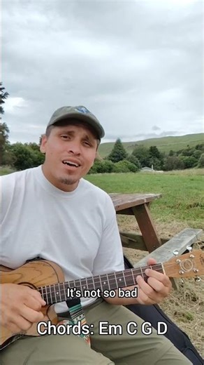 Eminem - Stan (Baritone Ukulele Tutorial)