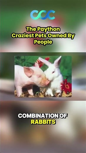 Python as a Pet?! 😱 | The Craziest & Most Dangerous Pet People Actually Own #shortvideo #shorts