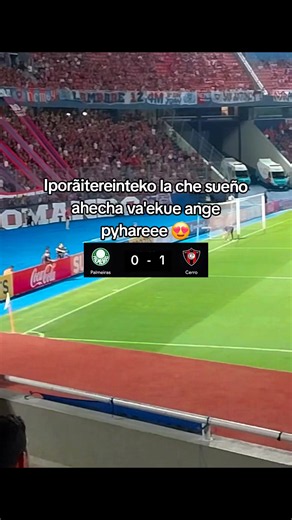 Cerro Porteño vs Palmeiras score highlights 0-1