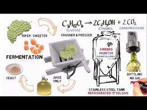 Alcohols Advanced 2: Ethanol from fermentation (of grapes).