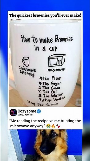 How To Make Brownies in a Cup (Microwave Magic 🍫)