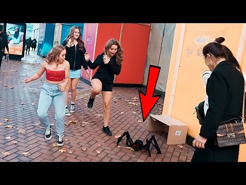 Giant Spider 🕷 prank in UK 🇬🇧