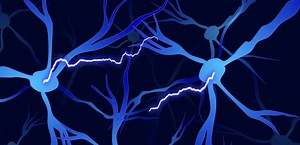 Quantum materials pave the path for synthetic neuroscience « Engineering# « Cambridge Core Blog