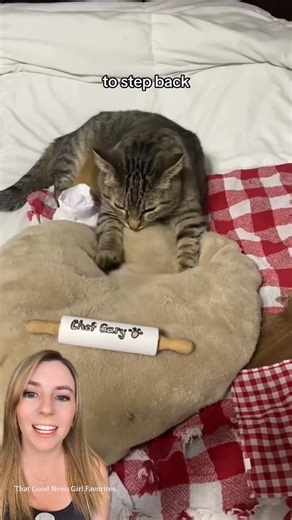 There’s something comforting about someone who truly loves what they do. 🐈‍⬛🥖 Chef Gary spends her days making biscuits. She shows up early. She puts in the work. And even on her days off, she can’t resist kneading a little dough. Some people joke that she works too hard. But this isn’t stress. It’s joy. Gary learned the craft from her sibling, took over the family business, and expanded the menu all on her own. Biscuits, muffins, pizza. A quiet little bakery run by a cat who knows exactly whe