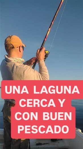 EL CUCO PESCA on Instagram: "PESCA DE PEJERREY EN LAS LAGUNAS DE Bs. As. #pesca #pejerrey #carpfishing #2025 #parati #tutorial #tips #consejos"