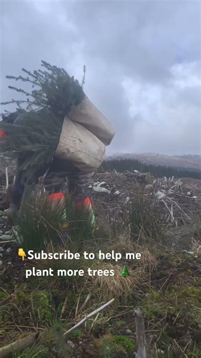 Forestry worker tree planting Scottish woodland snow cap Mountain View #workingforests