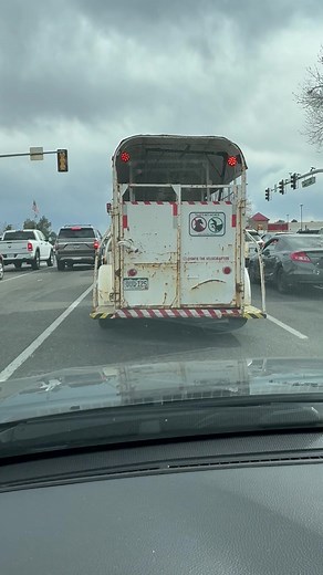 Onyx the Velociraptor Transported by RobeGrill