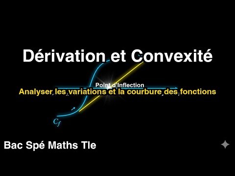 Maîtriser la Convexité