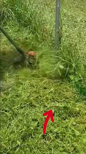 How to Weed Eat Against a Chain Link Fence (Without the Headache)