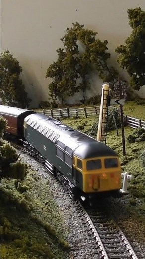 BR Class 56 diesel locomotive running in action on the SWMR.