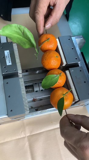 Exploring Advanced Robotics: Welding and Painting Robots