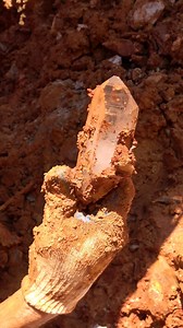 2.1K views · 115 reactions | ✨ A spectacular day for pulling diamond-clear singles at Fisher Mountain ⛏️ Visit avantmining.com for information on booking private digs Music: "Comin' Up" by Heyson via Epidemic Sound #crystals #quartz #crystal #crystalhunting #crystalhealing #mining #minerals #metaphysical #chakras #energywork #rockhound #digging #traveling #getaway #findyourpurpose #vacations #doit #arkansasoutdoors #shorts | Avant Mining LLC | Facebook