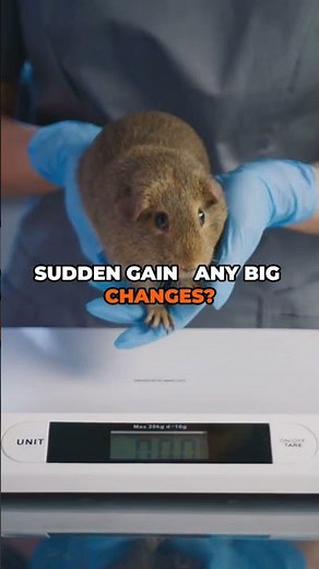 Signs Your Dog is NOT Eating Right 😟 | Dog Food Tips Every Parent Should Know